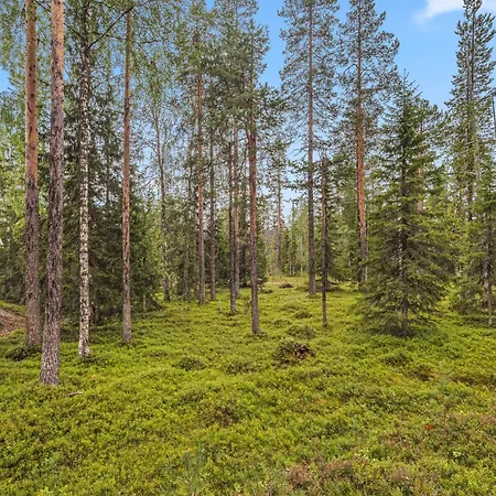 Kultapiisku 2 By Interhome Ylläsjärvi